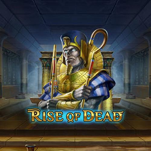 เล่นสล็อต rise of dead PLAYNGO 
